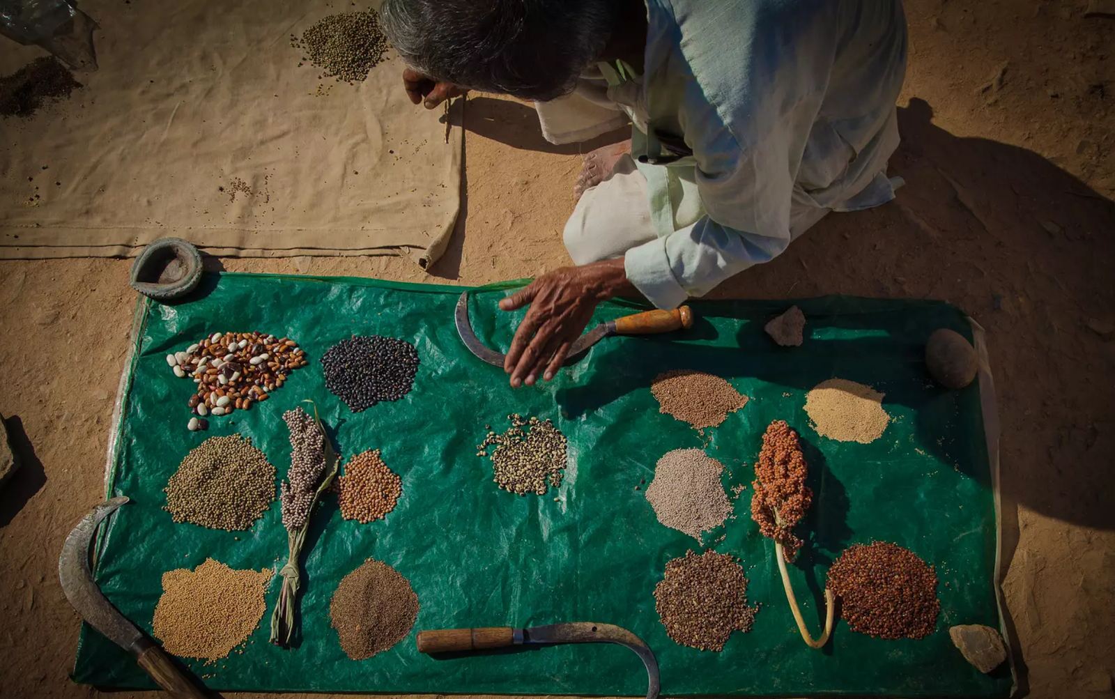 Project Survival Media