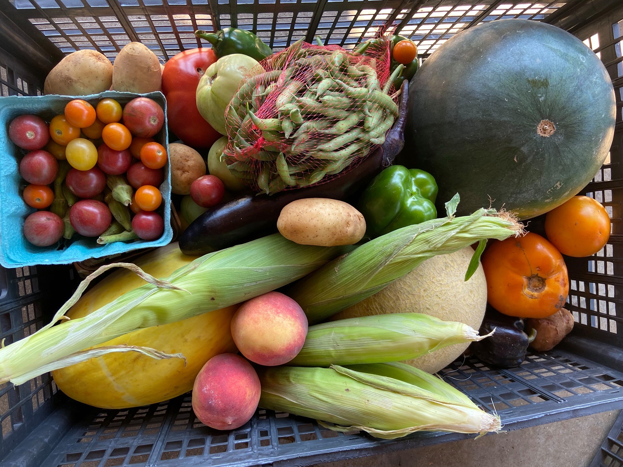 117242757_10217170785532695_56164747822421128_o